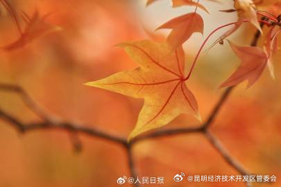 昆明经济技术开发区管委会