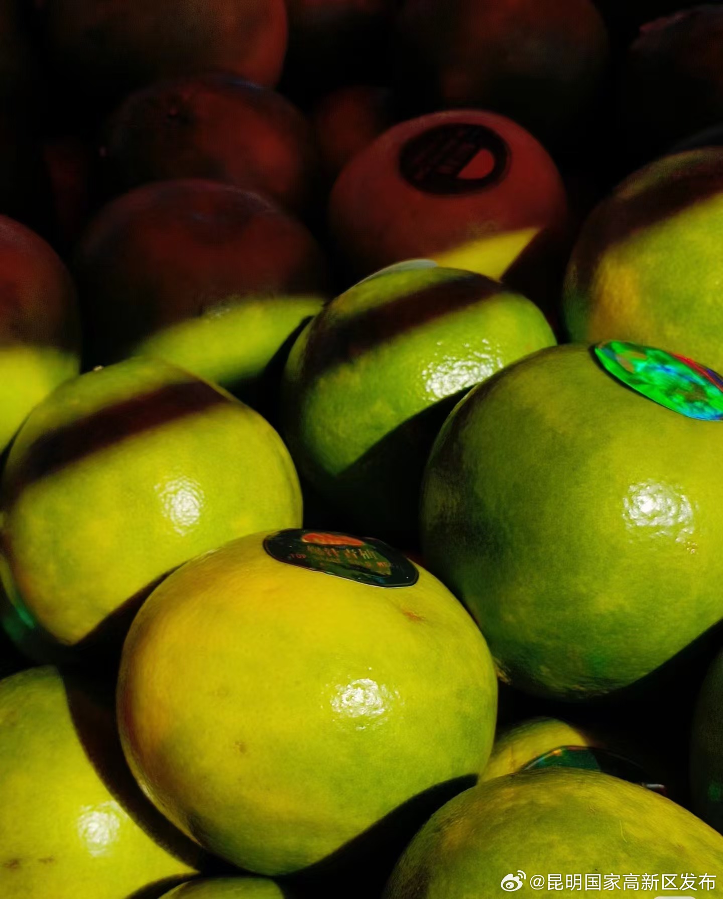 昆明国家高新区发布