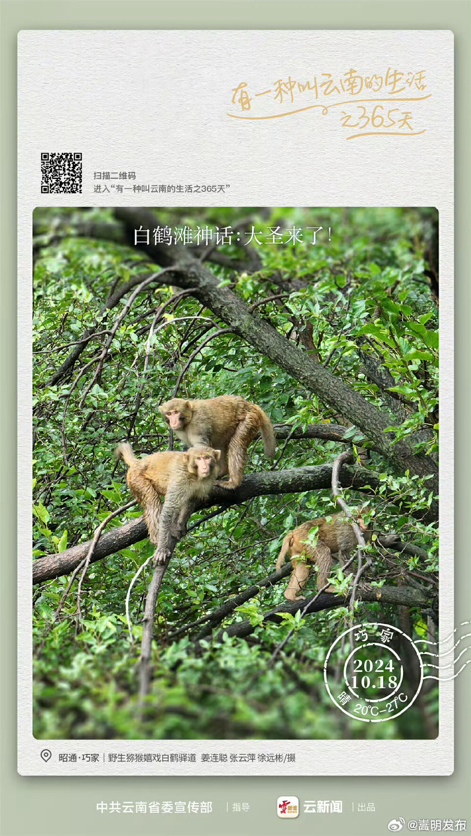 白鹤滩神话：大圣来了！——有一种叫云南的生活之365天