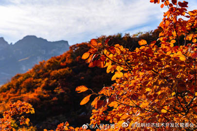 昆明经济技术开发区管委会
