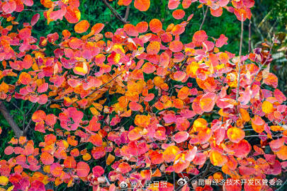 昆明经济技术开发区管委会