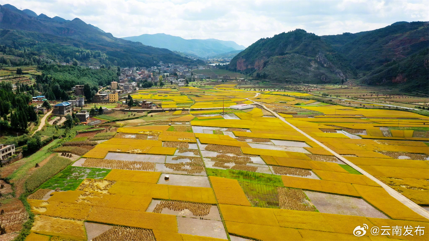 云南发布