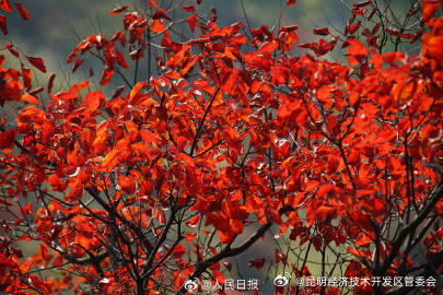 昆明经济技术开发区管委会