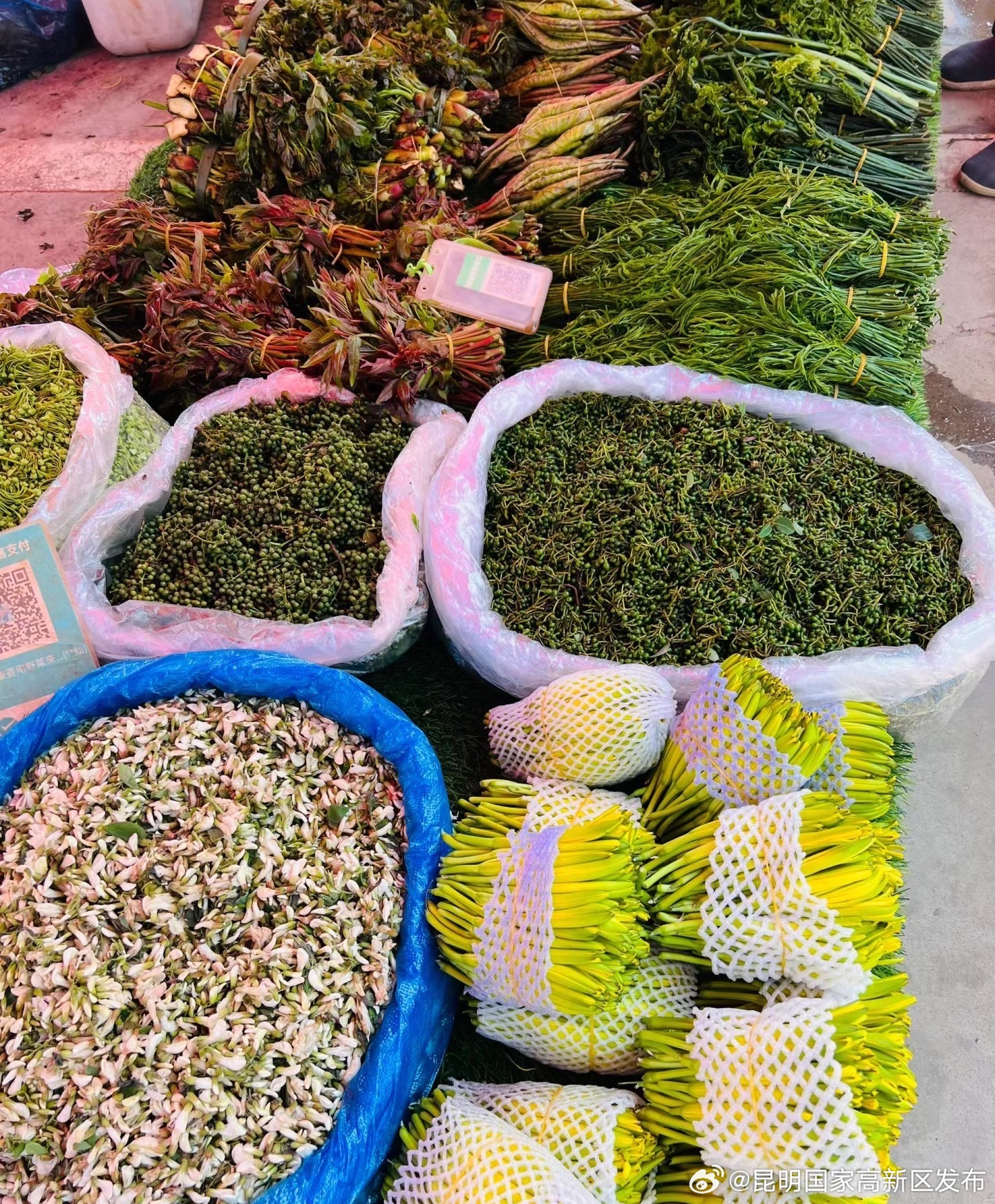 昆明国家高新区发布