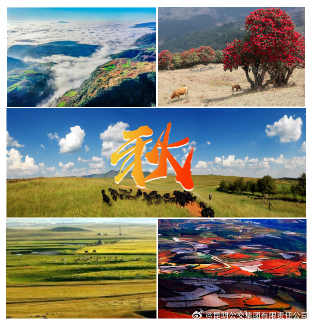 昆明公交集团有限责任公司