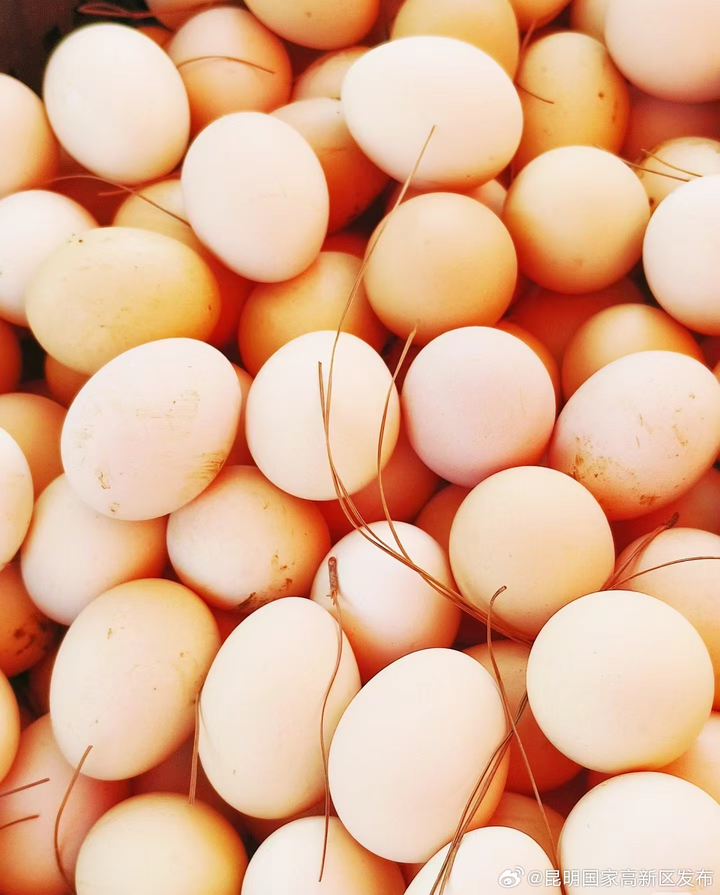 昆明国家高新区发布