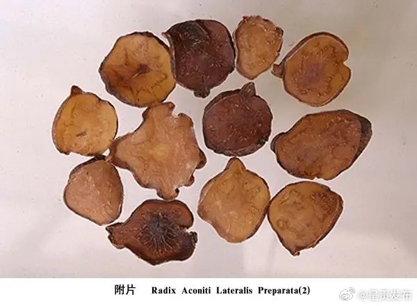 不听劝！云南一男子3次吃附子3次进抢救室乌头碱3mg即可致死