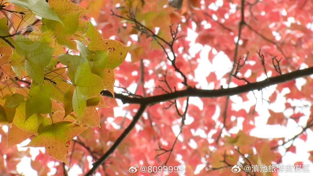 滇池旅游度假区