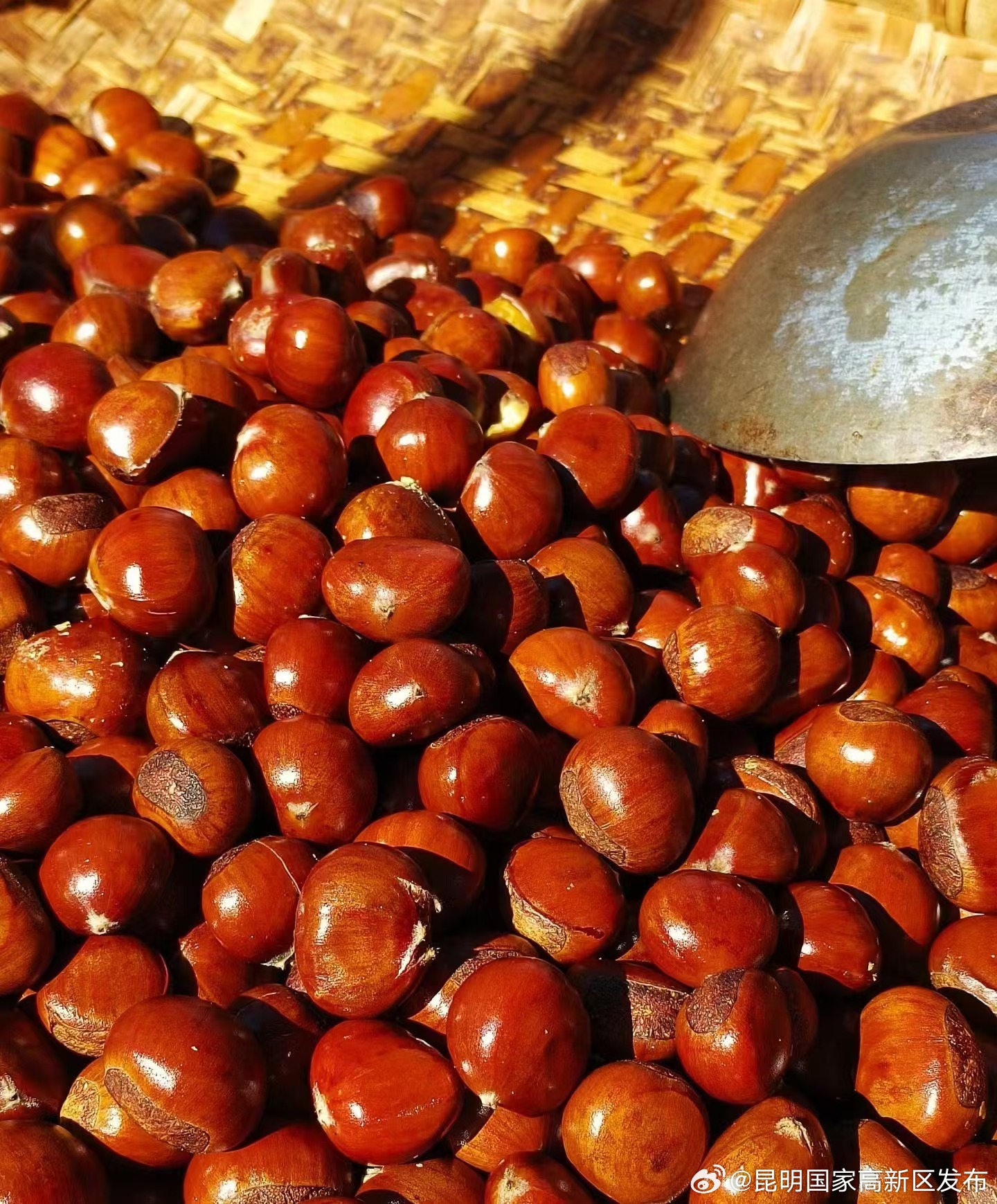 昆明国家高新区发布