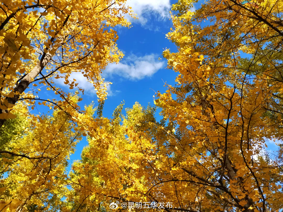 昆明五华发布