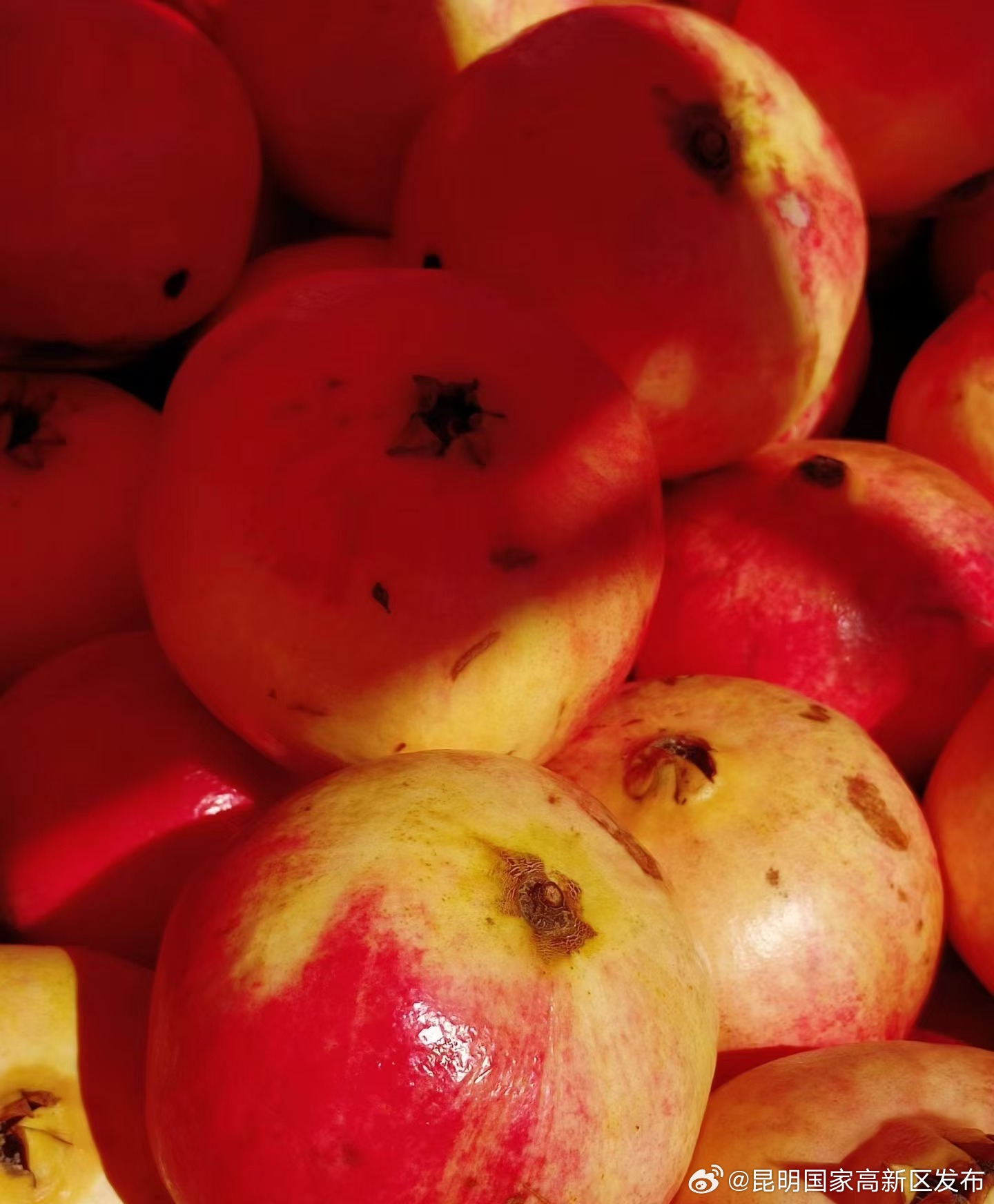 昆明国家高新区发布