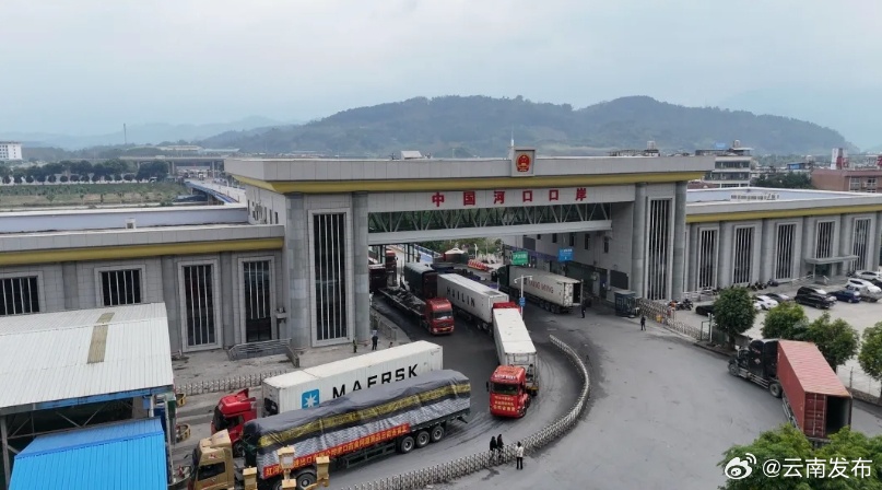 全国首票陆运进口越南鲜椰从河口口岸通关