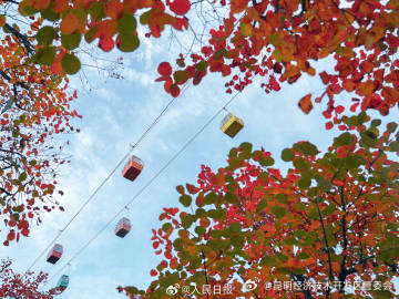 昆明经济技术开发区管委会