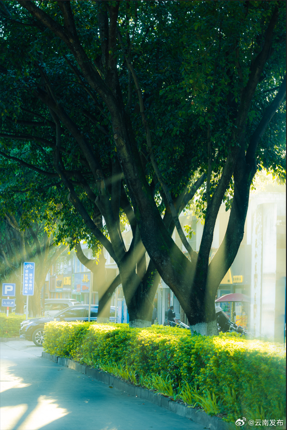 云南发布