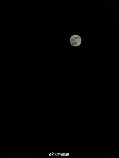 春城晚报