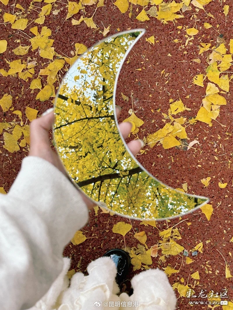 昆明信息港微博