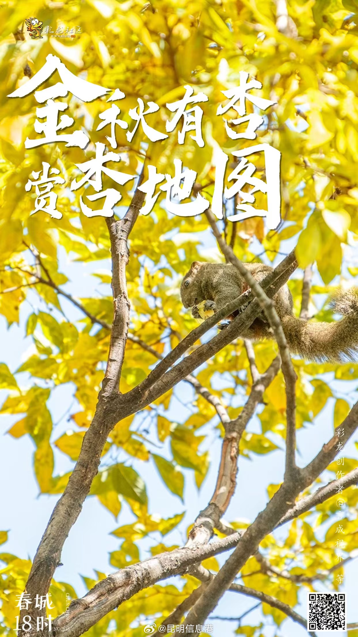 昆明信息港微博