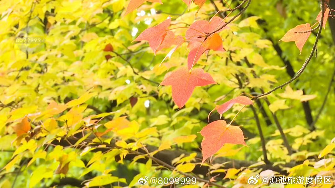 滇池旅游度假区