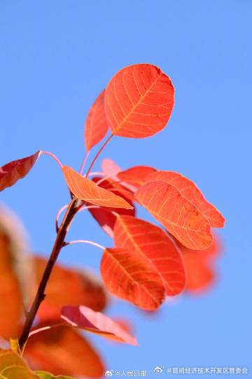 昆明经济技术开发区管委会