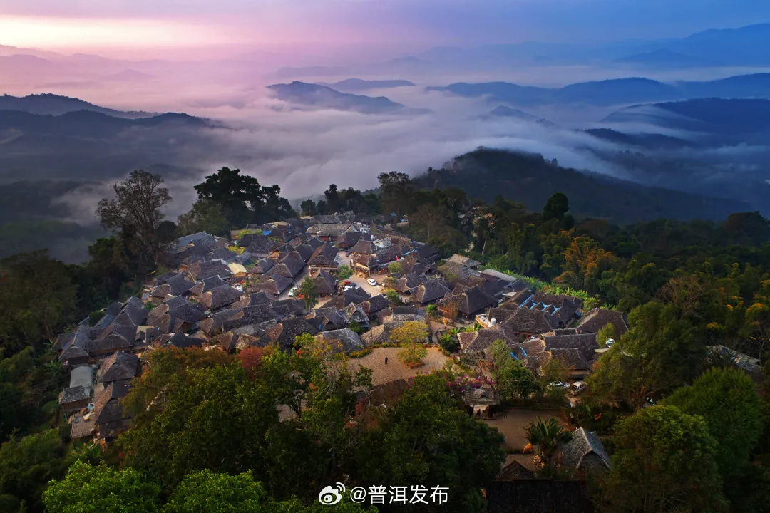 普洱景迈山古茶林文化景观：赓续人文根脉 厚植绿色家底