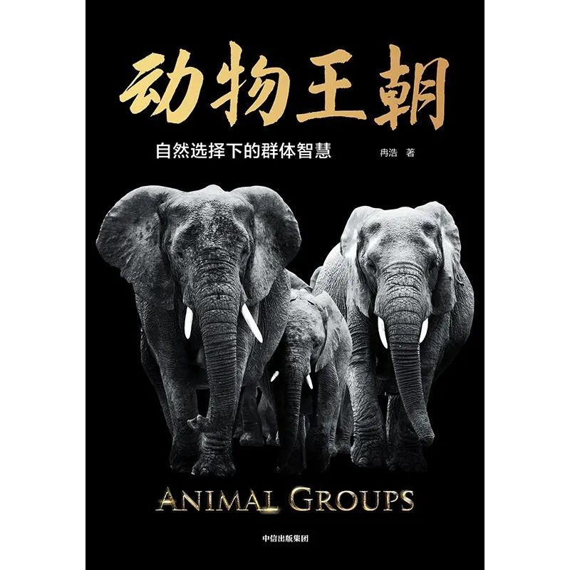 好书推荐：《动物王朝》