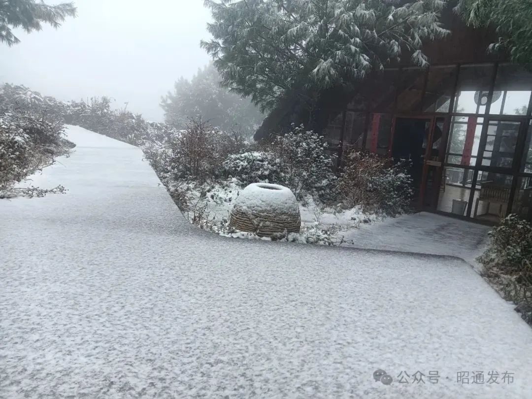 8099999街头巷尾微信