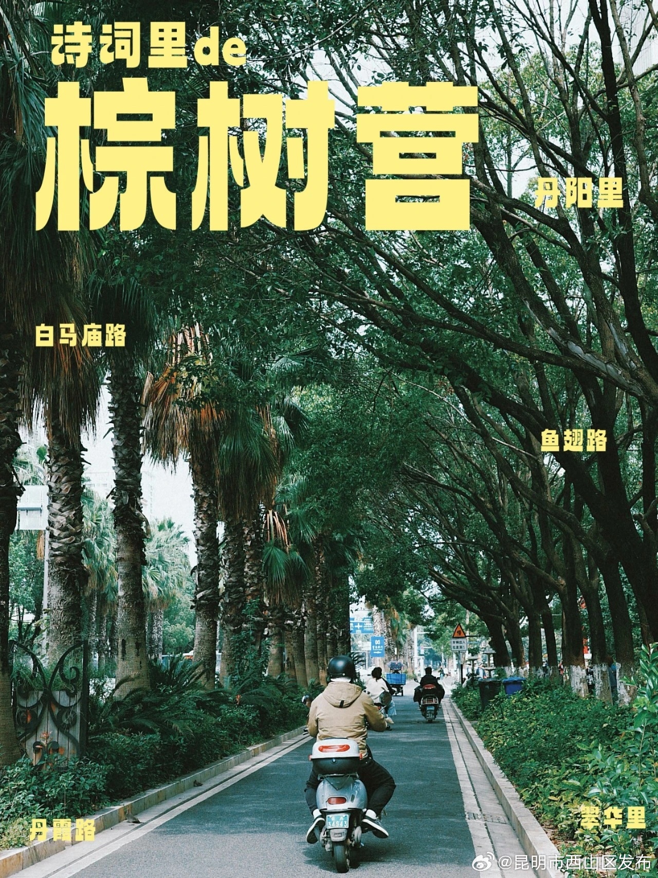 昆明市西山区发布