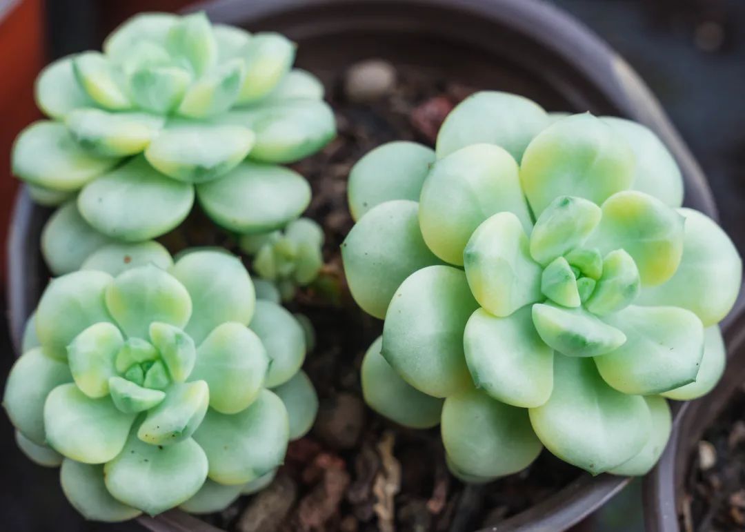 晋宁 诗意的栖居地