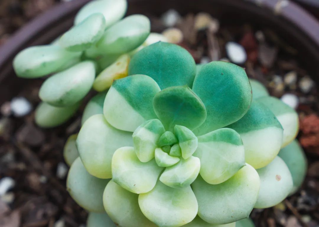 晋宁 诗意的栖居地