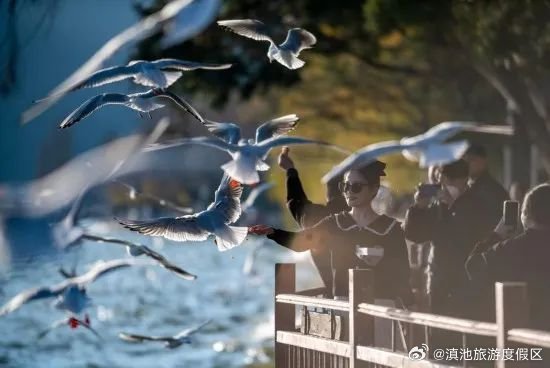 滇池旅游度假区