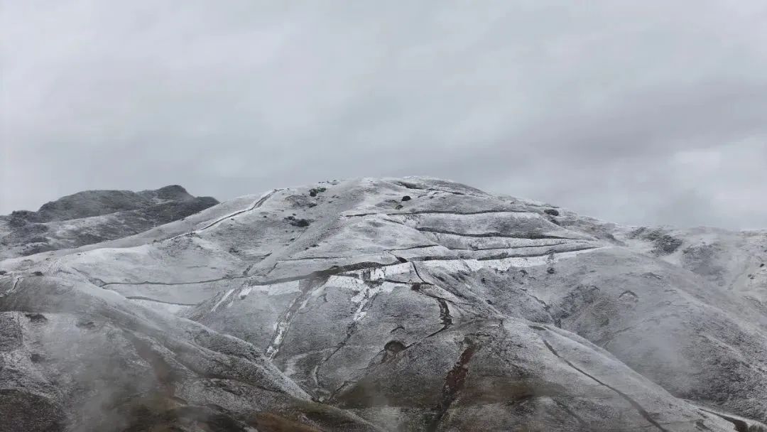 8099999街头巷尾微信