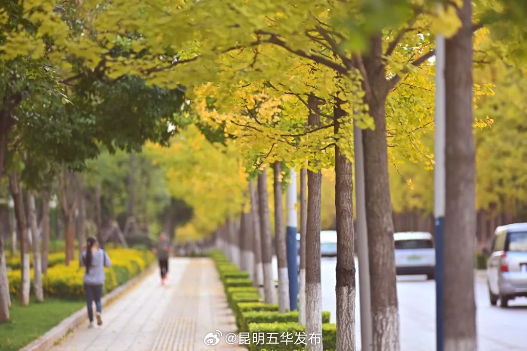 昆明五华发布