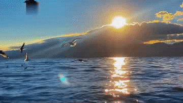 昆明市西山区发布