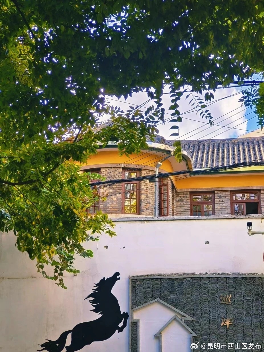 昆明市西山区发布