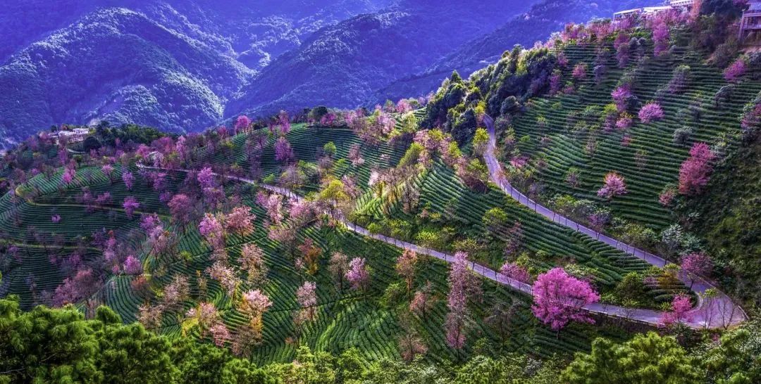 8099999街头巷尾微信