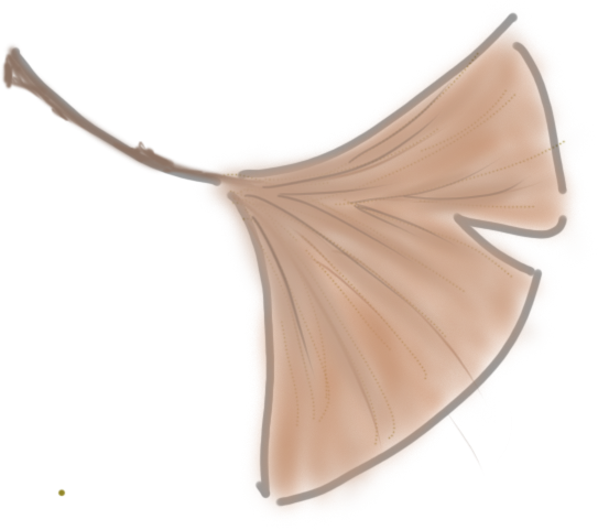 云南省中医医院