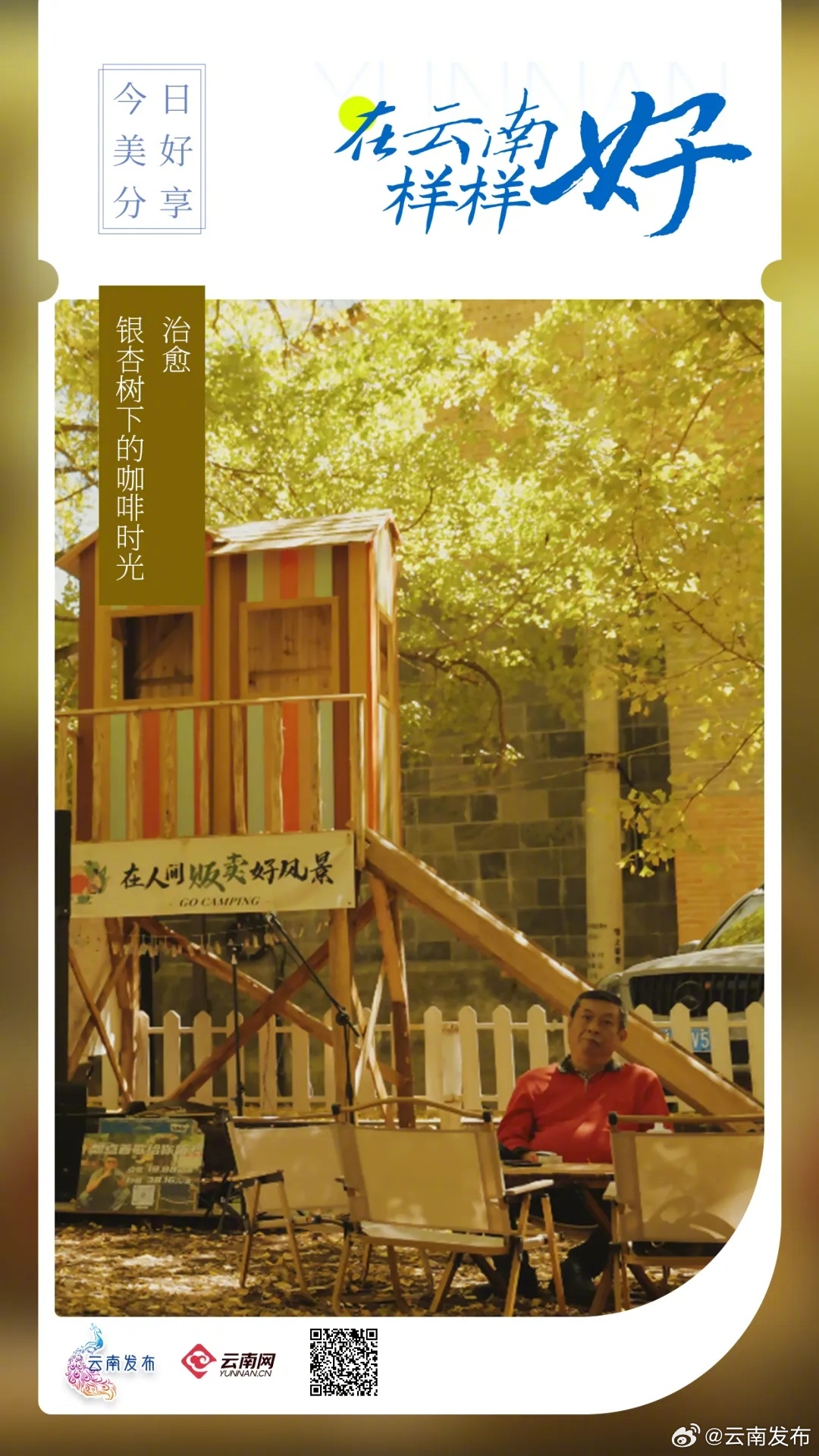 保山银杏树下的咖啡时光也太治愈了