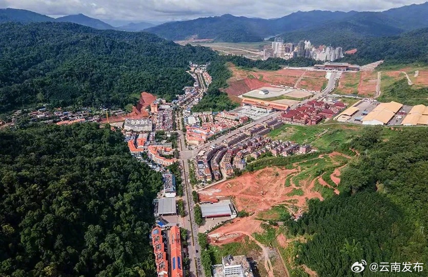 16吨进口榴莲通关仅需5分钟