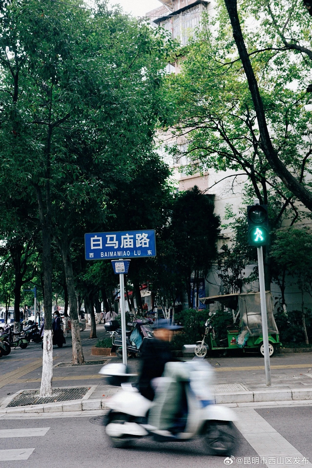 昆明市西山区发布