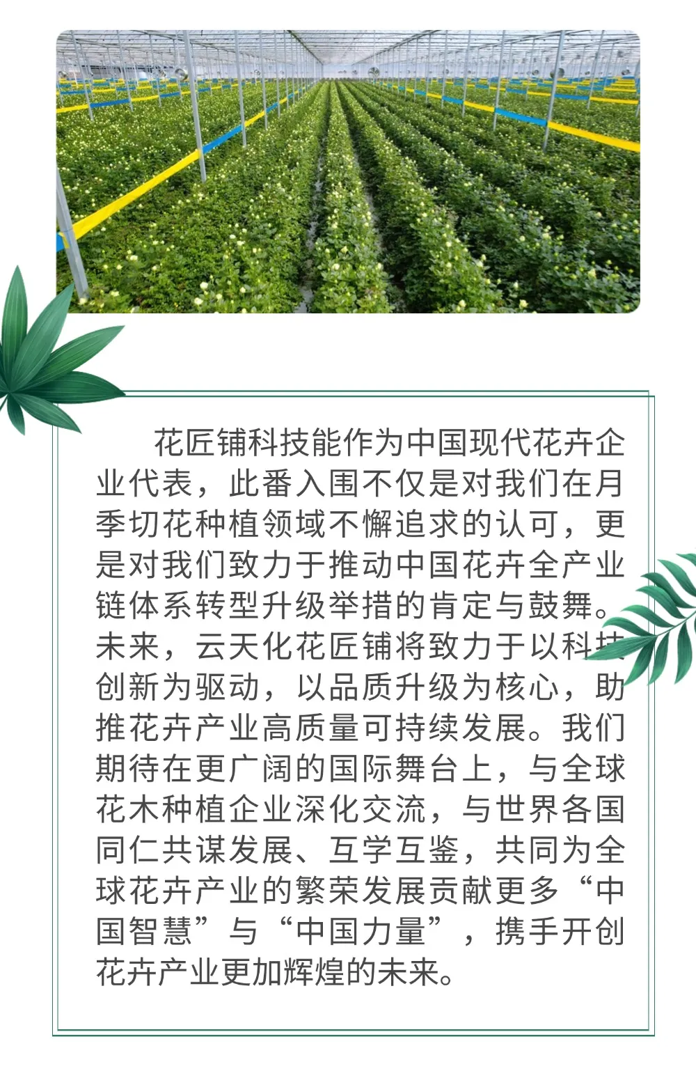 晋宁 诗意的栖居地