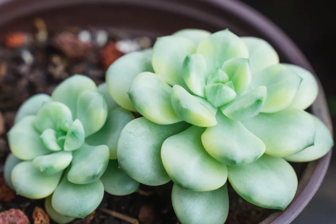 晋宁 诗意的栖居地