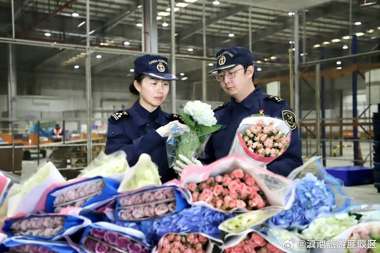 云南鲜花借力“双十一”加速出海