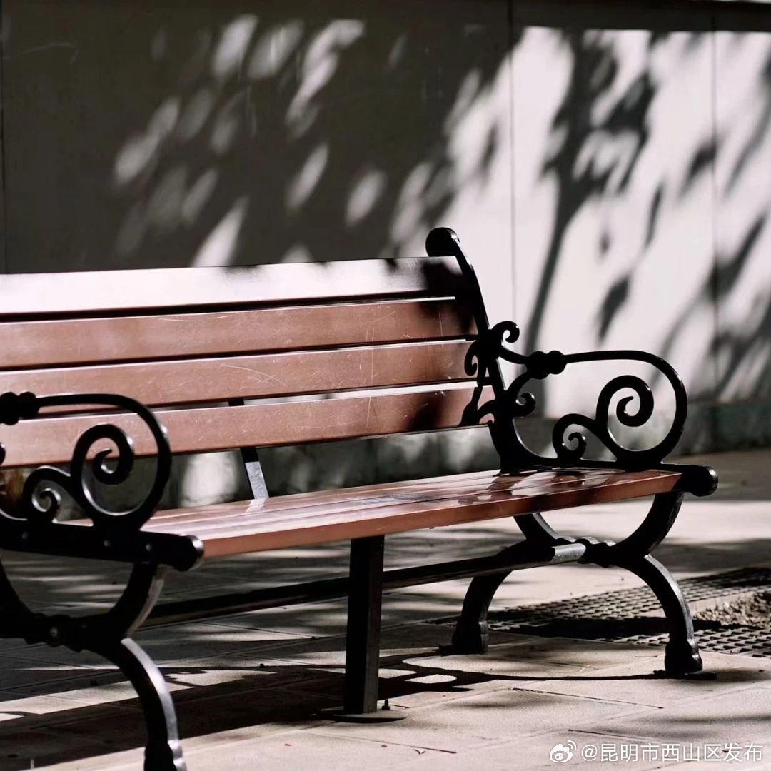 昆明市西山区发布