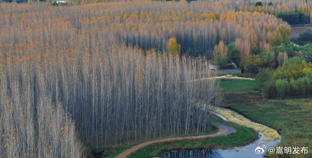 开屏策划｜立冬啦！快来打开云南冬天的N种可能！