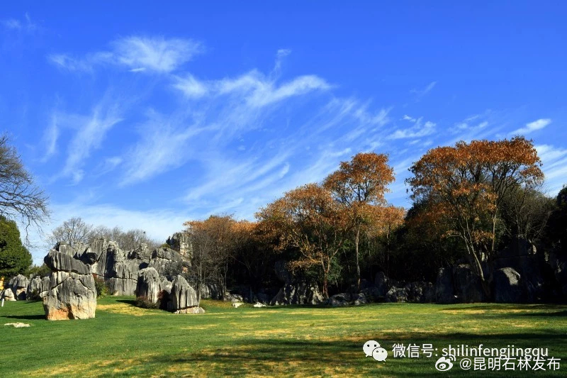 昆明石林发布
