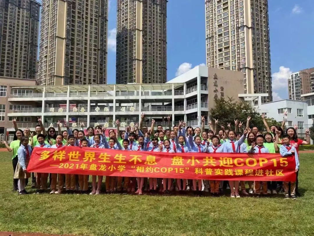 微观盘龙