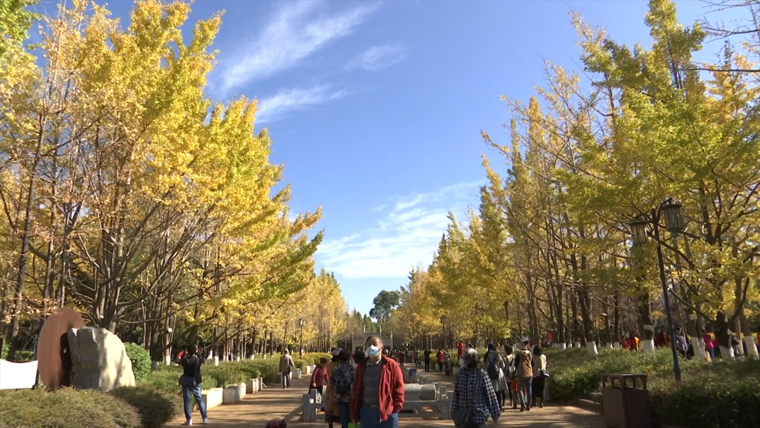 8099999街头巷尾微信