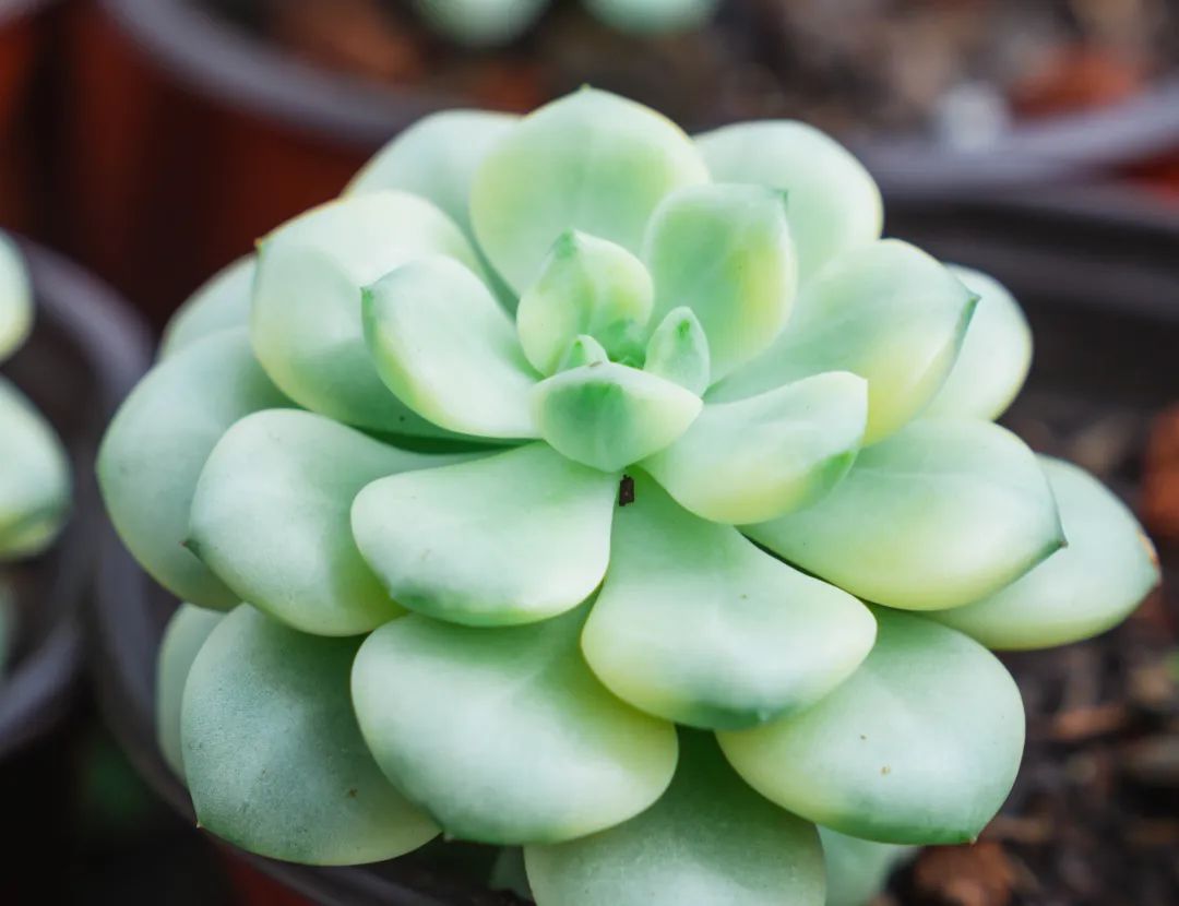 晋宁 诗意的栖居地