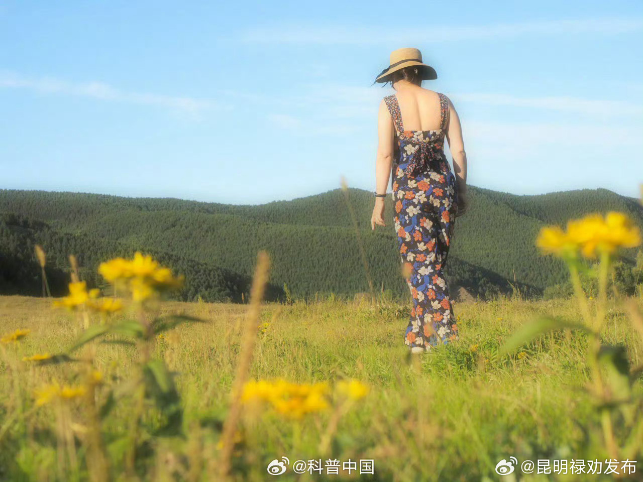 大部分HPV感染可以通过免疫力清除 