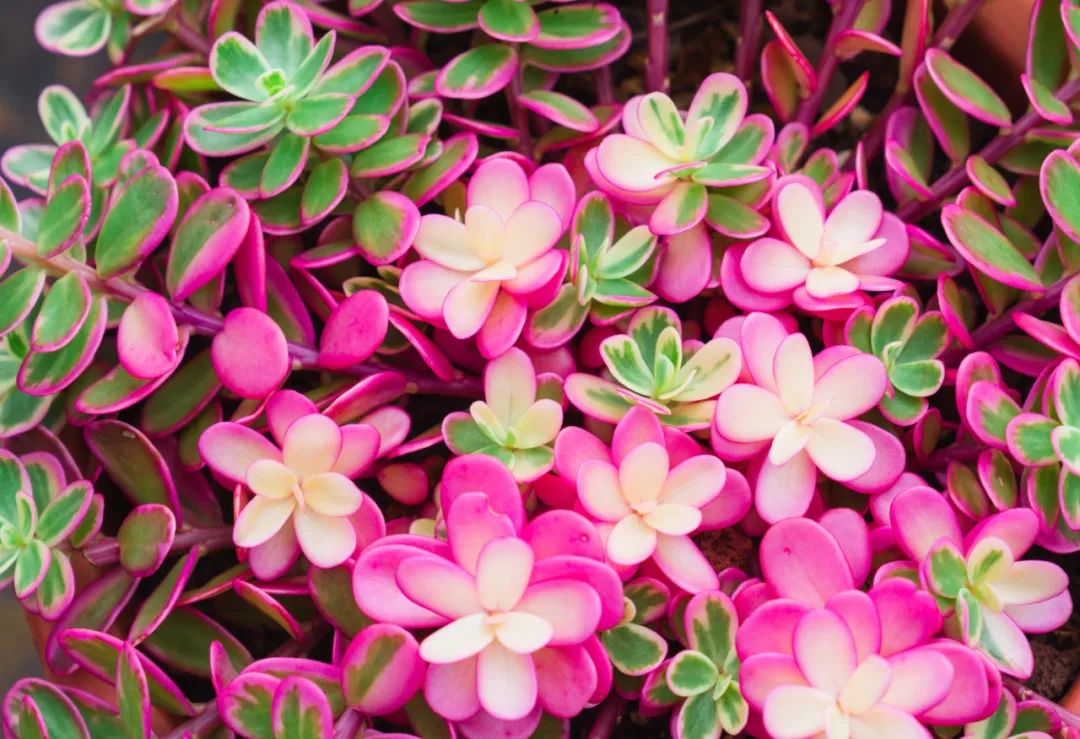 晋宁 诗意的栖居地